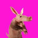 Aardvark VARK ロゴ