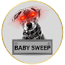 BabySweep BABYSWEEP логотип