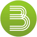 Bastonet BSN логотип
