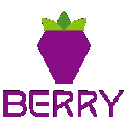 Berry Data BRY 심벌 마크