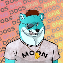 BnBdognetwork BNBDOG$ Logo