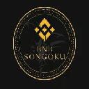 BNBsongoku BNBSONGOKU ロゴ