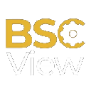 BSCView BSCV Logo