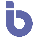 BSocial BINS логотип