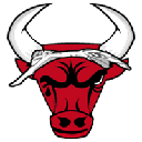 Bull Coin BULLS Logo