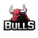 BULLS BULLS ロゴ
