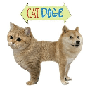 CAT DOGE CATDOGE Logo