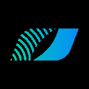 Divergence DIVER Logotipo
