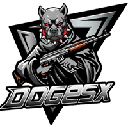 DOGE SPACEX DOGESX ロゴ