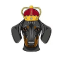 DogeKing DOGEKING Logotipo