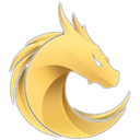 Dragon Token DT Logo