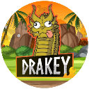 Drakey DRAKEY Logo