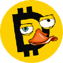 Duckies, the canary network for Yellow DUCKIES ロゴ