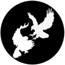 EagleCoin EA Logotipo