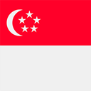 eToro Singapore Dollar SGDX Logo