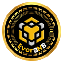 EverBNB EVERBNB Logotipo