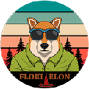 Floki Elon FLOKIELON ロゴ