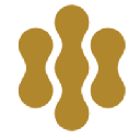 Gold BCR GBCR Logo