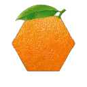 Hex Orange Address HOA Logo