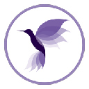 Hummingbird Finance (new) HMNG Logotipo