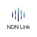 NDN Link NDN логотип