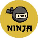 Ninja Squad Token NST Logo