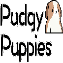 Pudgy Pups Club (New) PUPS Logotipo