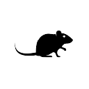 Rat Roulette RAT 심벌 마크