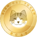 Rich Cat RCAT Logo
