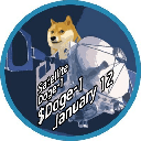 Satellite Doge-1 DOGE-1 Logo