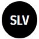 iShares Silver Trust Defichain DSLV ロゴ