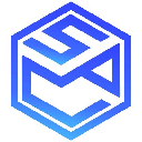 Smart Link Solution SLS Logotipo