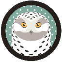Snowy Owl SNO ロゴ