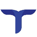 Tianyu Finance TYC Logotipo