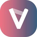 Vetri - Valid VLD ロゴ