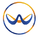 WAY-F coin WAYF логотип