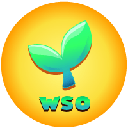 Widi Soul WSO Logo