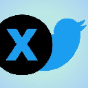 X X Logo
