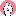 Cony CONY