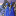 Golden Frog Inn QUESTS