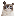 Grumpy Cat (grumpycatspl.com) GRUMPY