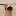 Popcat (ERC) POPCAT