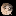 PUGDOG PUGDOG