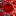 Red Blood Cell RBC