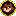 Tanuki TANUKI