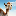 The Camel CAMEL