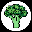 Broccoli BRO