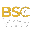 BSCView BSCV