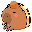 Capybara Coin CAPY