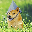 ETH DOGE
